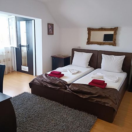 Family Pension Arad Exterior foto