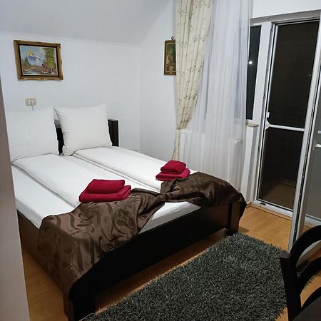 Family Pension Arad Exterior foto