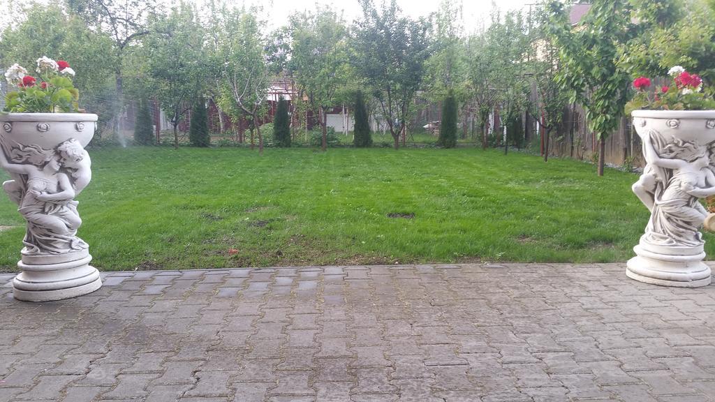 Family Pension Arad Exterior foto